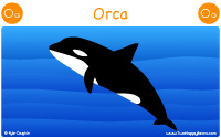 Orca starts with the letter O.