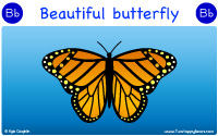 Butterfly starts with the letter B.