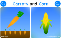Carrot and corn start with the letter C.