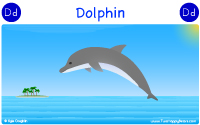 Dolphin starts with the letter D.