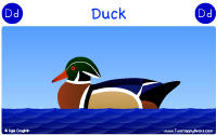 Duck starts with the letter D.