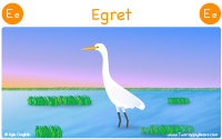Egret starts with the letter E.