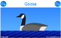 Goose starts with the letter G.