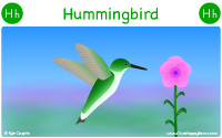 Hummingbird starts with the letter H.