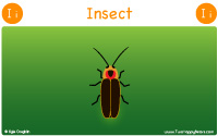 Insect starts with the letter I.